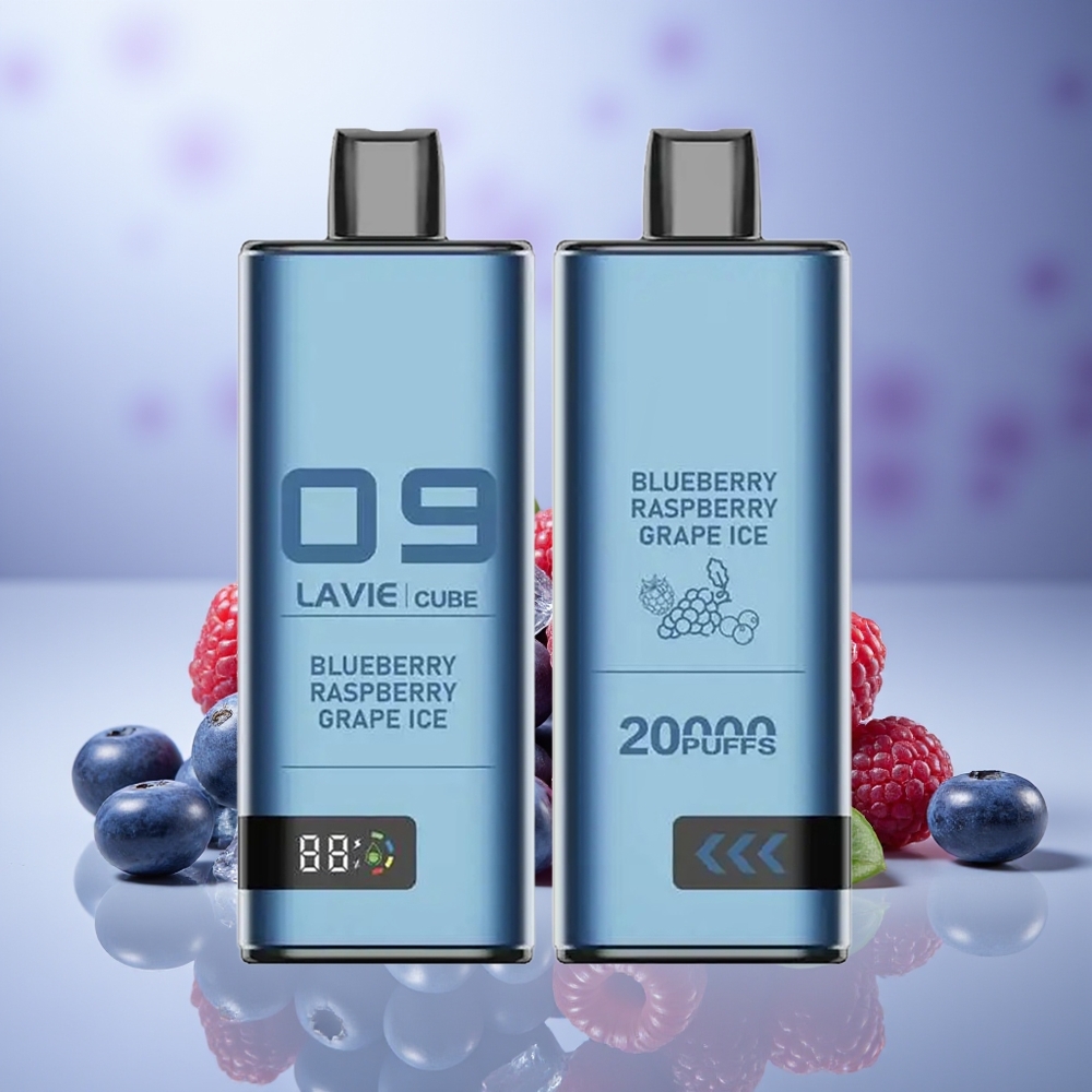 Lavie Cube 20000 Yaban Mersini Ahududu Üzüm Buz Type C