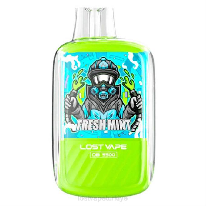Lost Vape Türkiye - Lost Vape Orion ob5500 5500 puf 14ml 50mg tek kullanımlık taze nane RV2V101